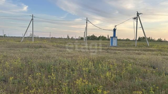 12897950 смотреть онлайн