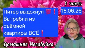 1 часть. Питер выдохнул💯❗️ВЫГРЕБЛИ из съёмной квартиры ВСЁ😱❗️