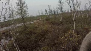 Охота на уток. Весна 2026 год. Якутия.