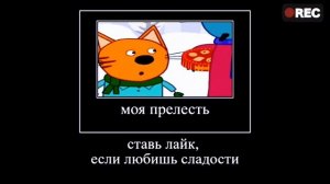 ТРИ КОТА 😹😻😾   ПОЛНАЯ РЖАКА 🤣 😄попробуй не засмеяться