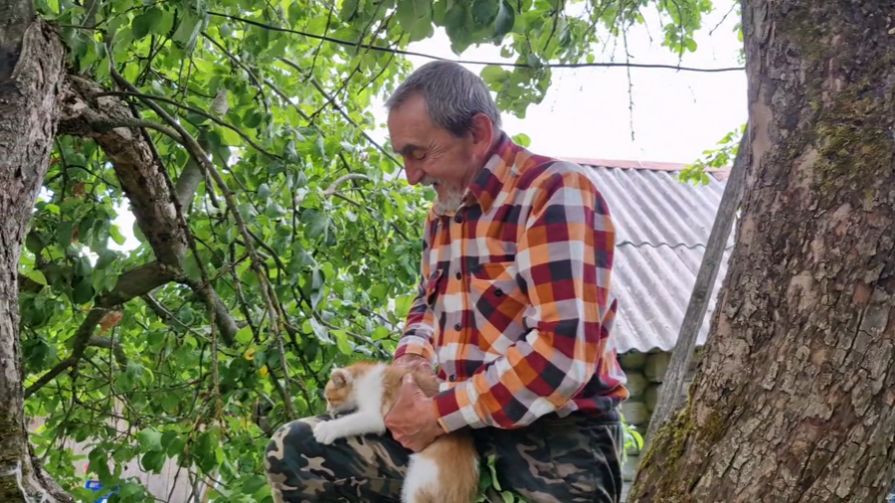 СОБРАЛИ НЕМНОГО КЛУБНИКИ, СНЯЛИ КОТА С ЯБЛОНИ, УЖЕ НЕМНОГО ОСВОИЛСЯ. смотреть онлайн