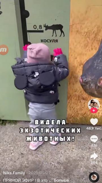 8606.mp4 смотреть онлайн