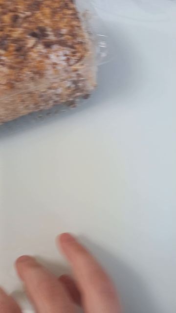 УРА НАС 200 АААААААОАОАОАОАО
СПАСИБО ВАМ ВСЕМ💘💗💘💗💘
это вам:💖💗🥞🥞🧇🧇🌭🌭🍔🍔🍕🍕🥪🌮🌯🍦🍨🍧