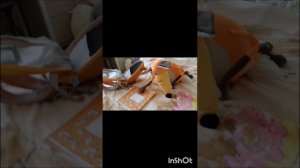 Сборник 1 сезона Приключения Пуши с 1 по 3 серии (школьные 1-2 и библиотечная 1)