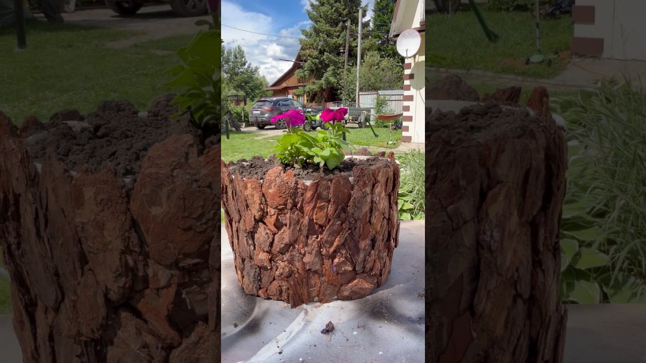 Не выбрасывай старые вёдра #дача #лайфхак #shorts смотреть онлайн