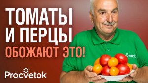 У ВАС ВЫРАСТУТ САМЫЕ ВКУСНЫЕ ТОМАТЫ И ПЕРЦЫ, если дадите им эти подкормки!