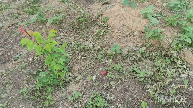 Новости с участка смотреть онлайн