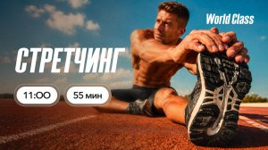 СТРЕТЧИНГ с Анной Фатеевой | 20 июня 2026 | Онлайн-тренировки World Class