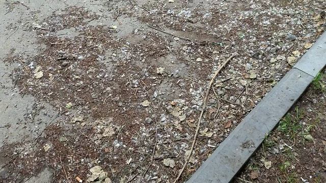 VID_20260603_140943638