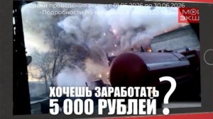 На парковке и у детсада: благовещенцы негодуют из-за поджигающих тополиный пух подростков