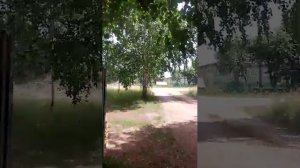 Лето. Природа. Деревенский лайф
