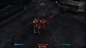 The Elder Scrolls Online