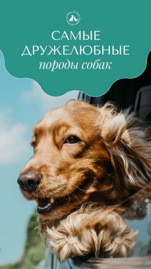 Самые дружелюбные породы собак