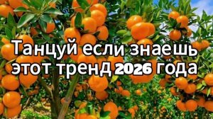 Танцуй если знаешь этот тренд 2026 года