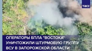 Операторы БПЛА «Востока» уничтожили штурмовую группу ВСУ в Запорожской области