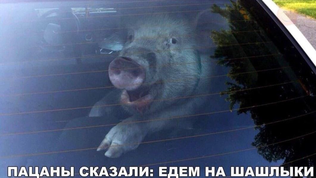 Операторы ГрВ Север уничтожили очередной пикап с пехотой ВСУ смотреть онлайн
