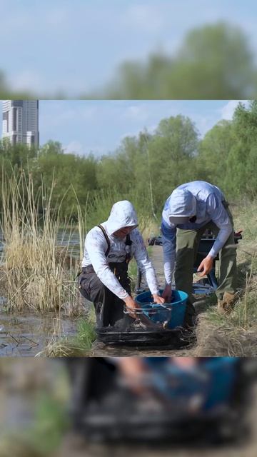 Смешные моменты с рыбалки)))