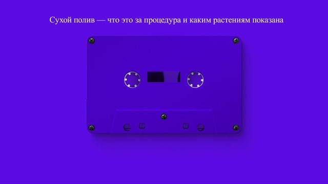Сухой полив — что это за процедура и каким растениям показана