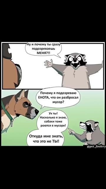 Что может пойти не так?) Пикси и Брут