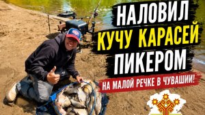 Наловил кучу карасей пикером на малой речке в Чувашии.