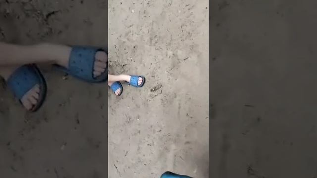 мою видео смотреть онлайн
