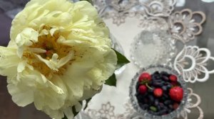 Натюрморт с пионом и ягодами. Нужна помощь по обрезке жимолости