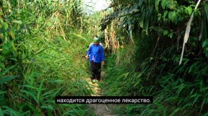 104ч.Смелый поступок: мать-одиночка помогла полиции задержать опасного преступника