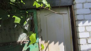 Любашины будни,заехали к куме и брату,но они нас не пустили ✅Едем присмотреть беседку ‼️