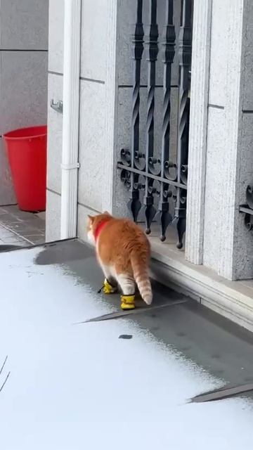 Готовимся к зиме заранее