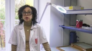 Борщевик Сосновского начинает цвести