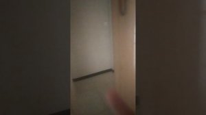 VID_20260616_194447.mp4
