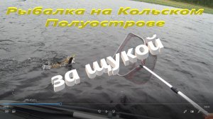 ПОЕХАЛИ ЗА СИГОМ А НАЛОВИЛИ ЩУКИ