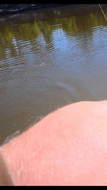 Рыбалка на амура на Хопре
