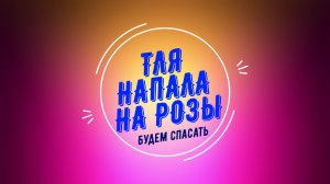 Борьба с тлёй на розах. Быстро и эффективно