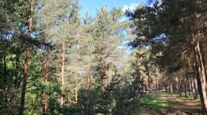 Поймать счастье вчерашнего дня