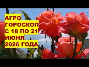Что делать в саду 18-21 июня? Агрогороскоп Раисы Горяченко