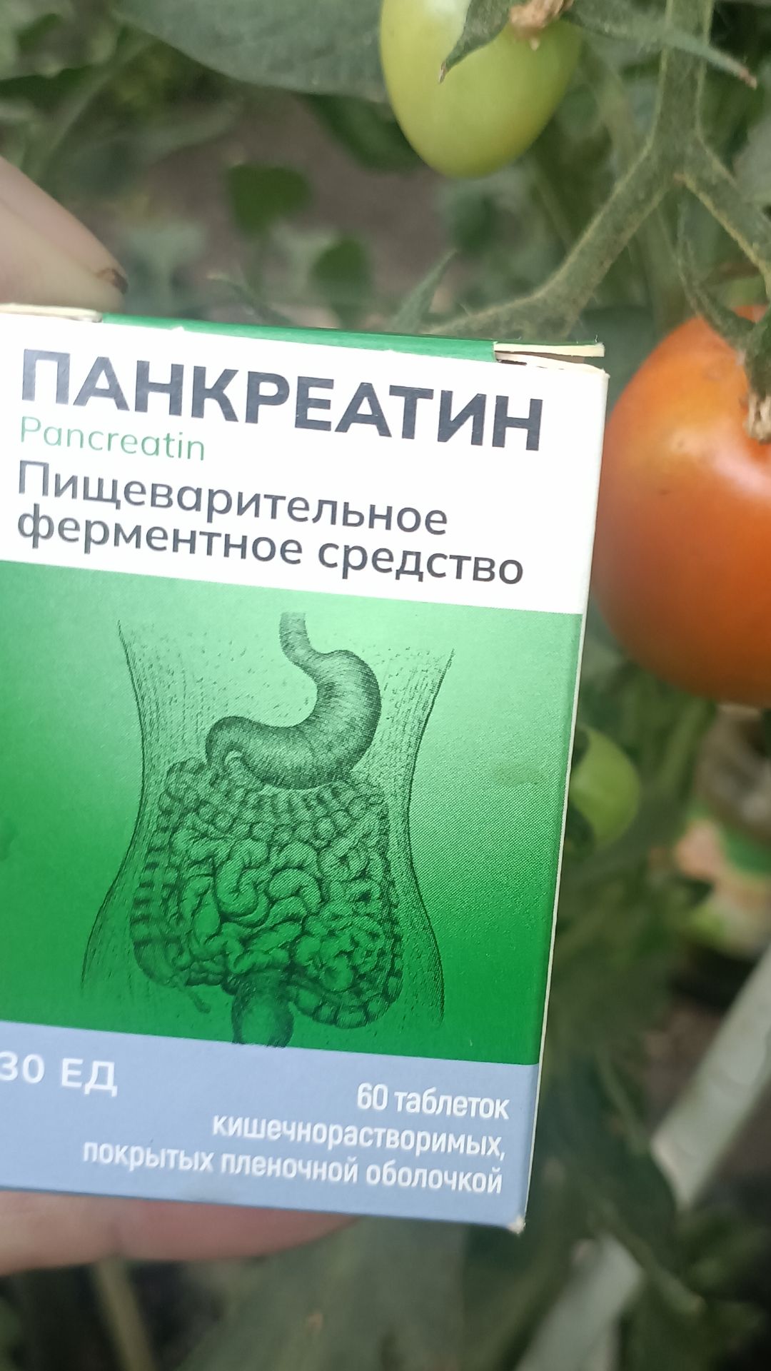 Энзимы для томатов смотреть онлайн