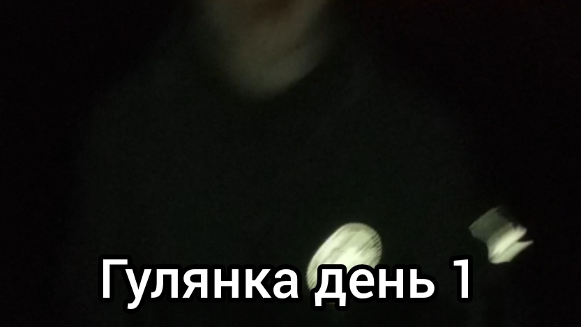 гулянка  день 1