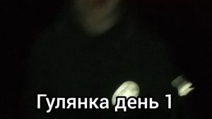 гулянка  день 1