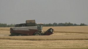 Воронежская область значительно увеличила экспорт сельхозпродукции