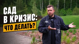 Как сэкономить на ландшафтном дизайне без потери качества?