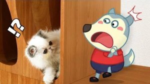Мультики для детей .Детские мультики.Яркие мультики