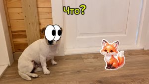К нам домой пришёл маленький лисёнок