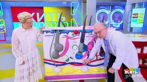 Чесотка: причины и способы борьбы. Жить здорово! Фрагмент выпуска от 16.06.2026