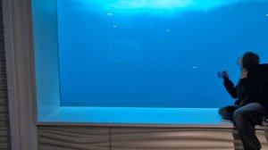 20260614_093452