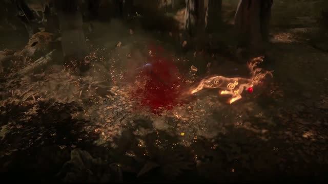 Path of Exile 2 | демонстрация сборки одного из фанатов