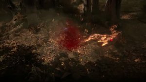 Path of Exile 2 | демонстрация сборки одного из фанатов