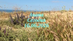 Анапа Сегодня 16.06.2026
