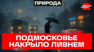 В Московском регионе за сутки выпало более половины месячной нормы осадков