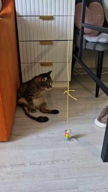 Лёлик кот смотреть онлайн